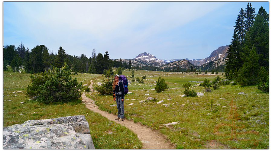 backpacking the alpine beartooth high lakes trail