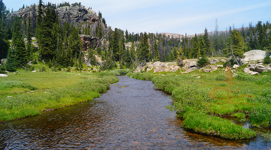 stream with grass and granite surroundings