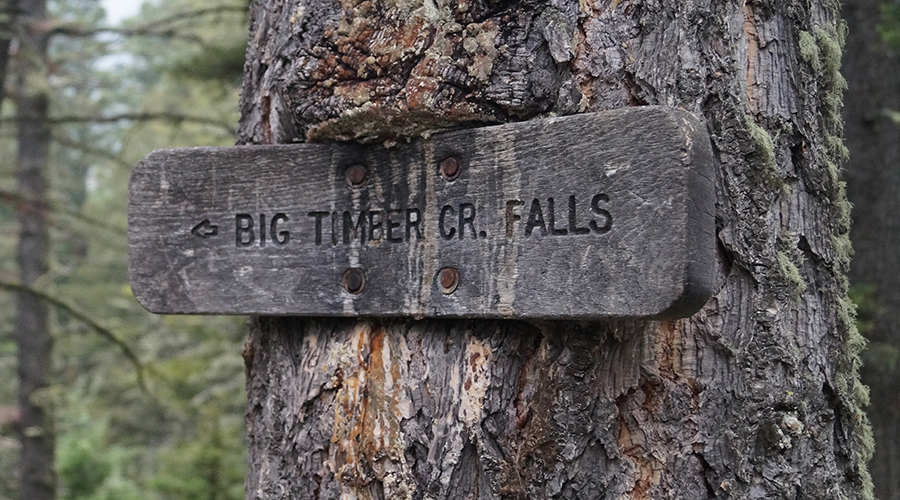 forest service sign for big timber creek falls