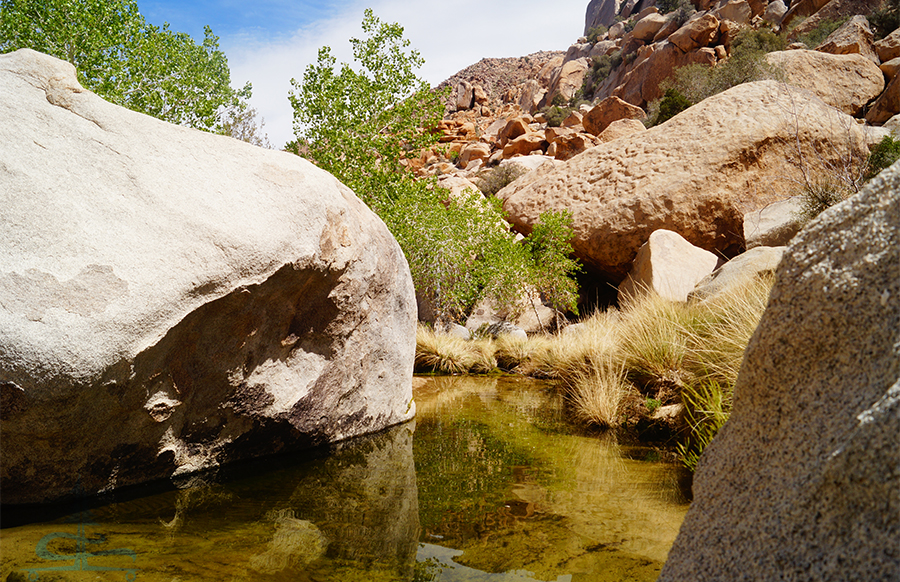 a small swimming hole on the rattlesnake canyon hike