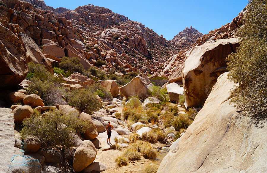 reaching the wonderland of rocks area