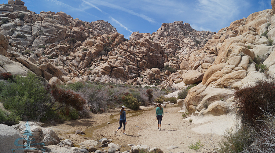 following a small stream on our rattlesnake canyon hike