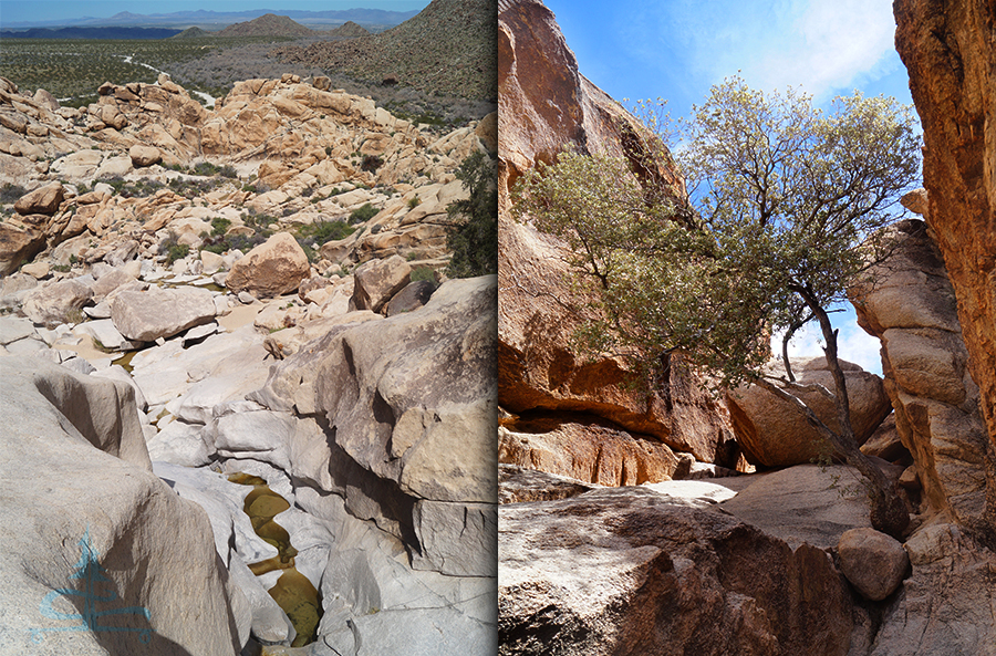 view from the top of rattlesnake canyon hikes waterfall