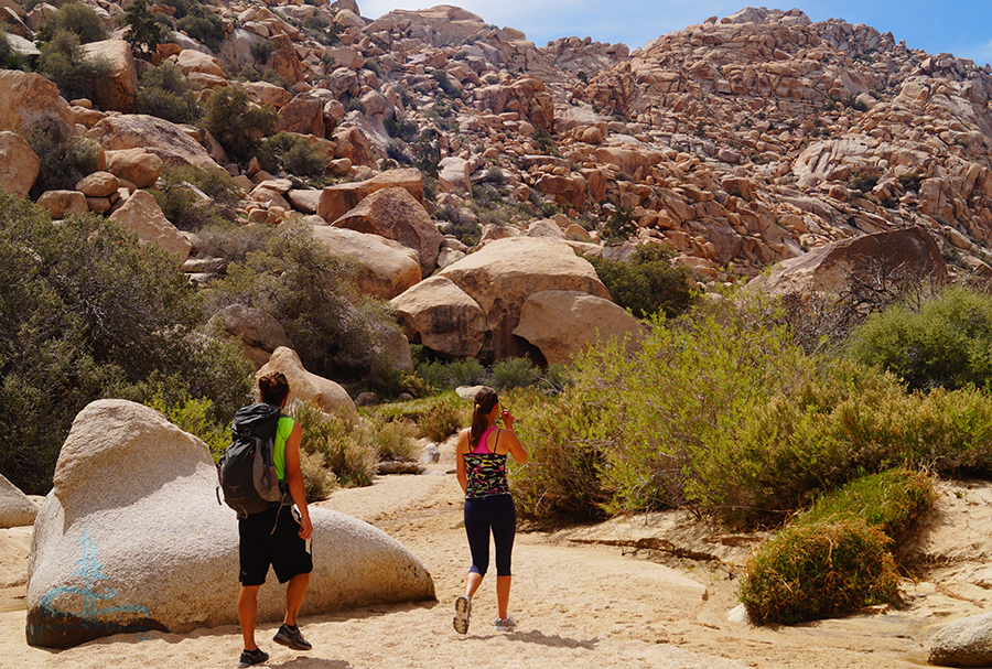 rattlesnake canyon hike meeting up with wonderland of rocks