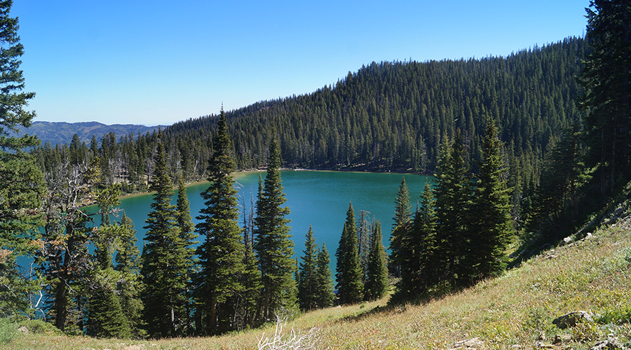 fairy lake surrounded by forested shores