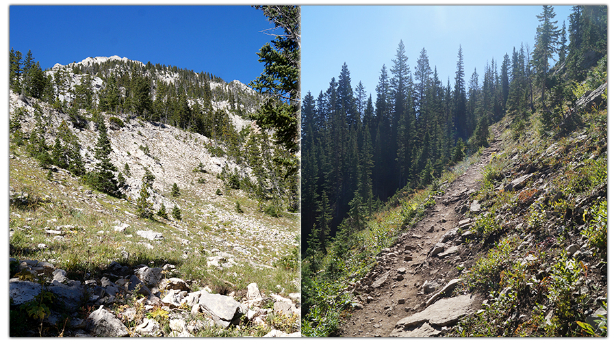 mountainside ascent trail