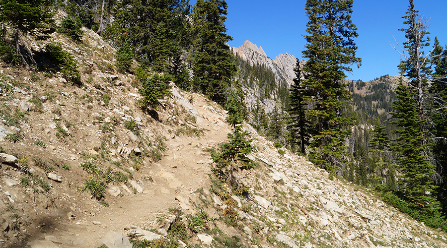 trail to sacagawea peak