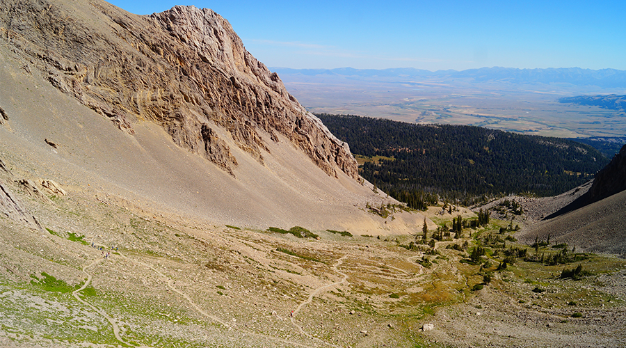 view down from above the treeline