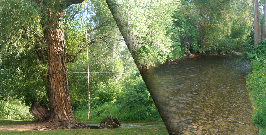 rope swing and spearfish creek