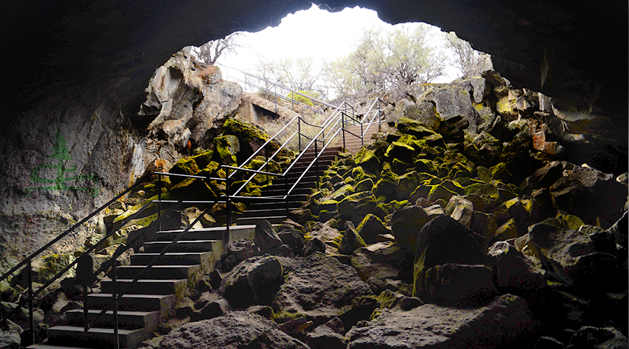 beautiful view of the entrance/exit of subway cave