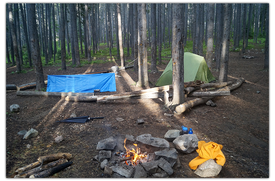 campspot in the woods with a fire pit