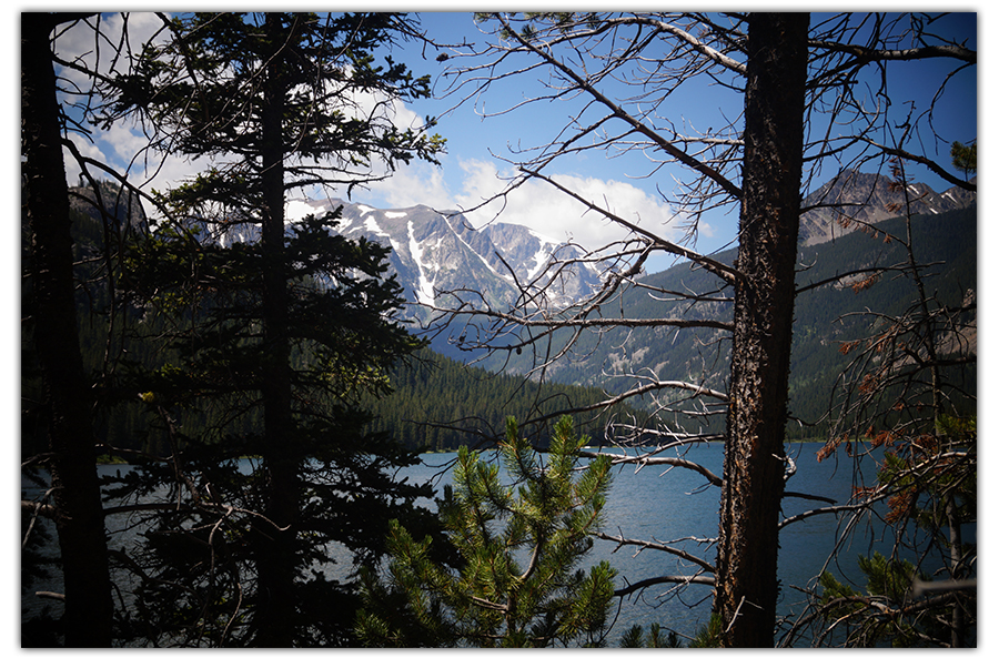 a glimpse of island lake through the trees