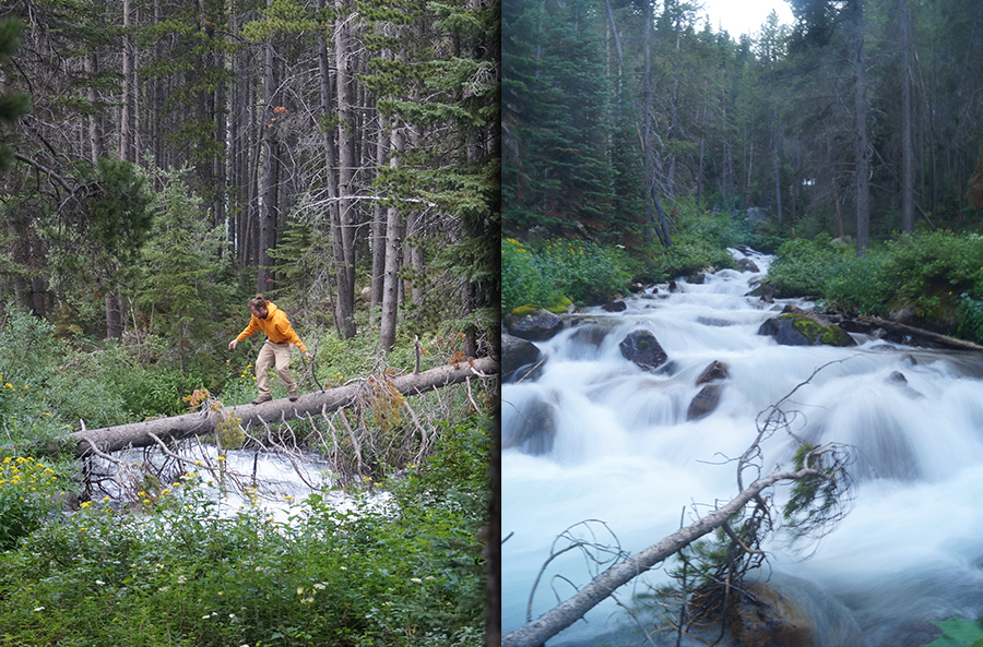 hiker crossing stream on downed log and a flowing river