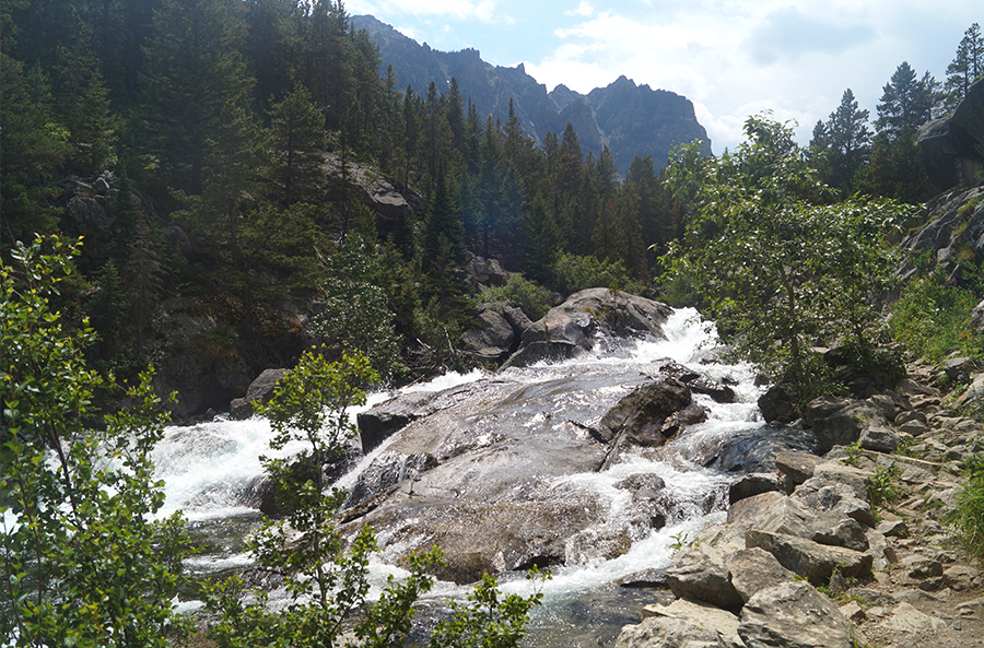 rushing west rosebud creek over rocks