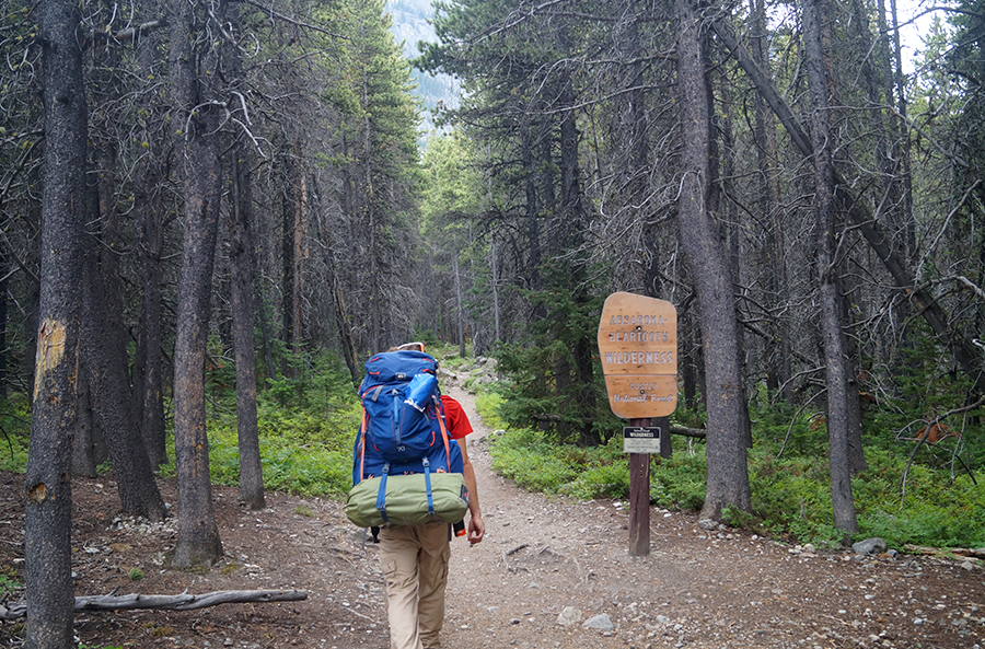 hiker entering absaroka-beartooth wilderness area