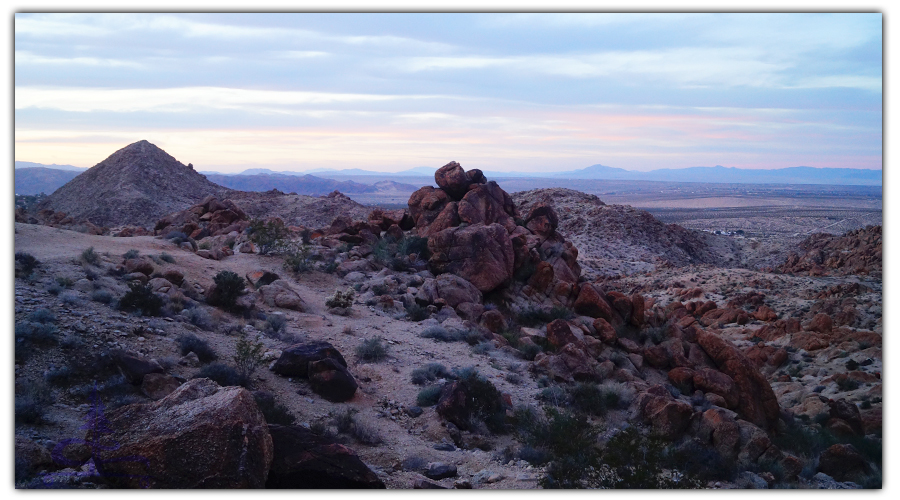 beautiful desert sunset scene