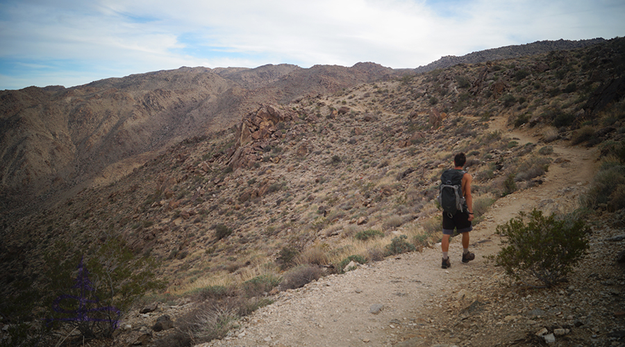 following the trail up to the ridge