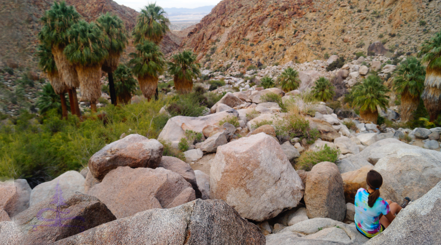 boulders to play on near the fortynine palms oasis