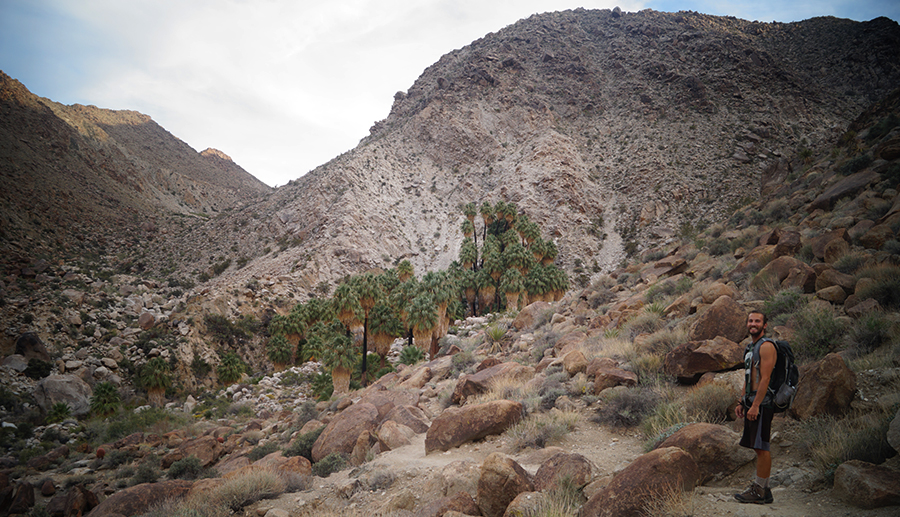looking down at the fortynine palms oasis
