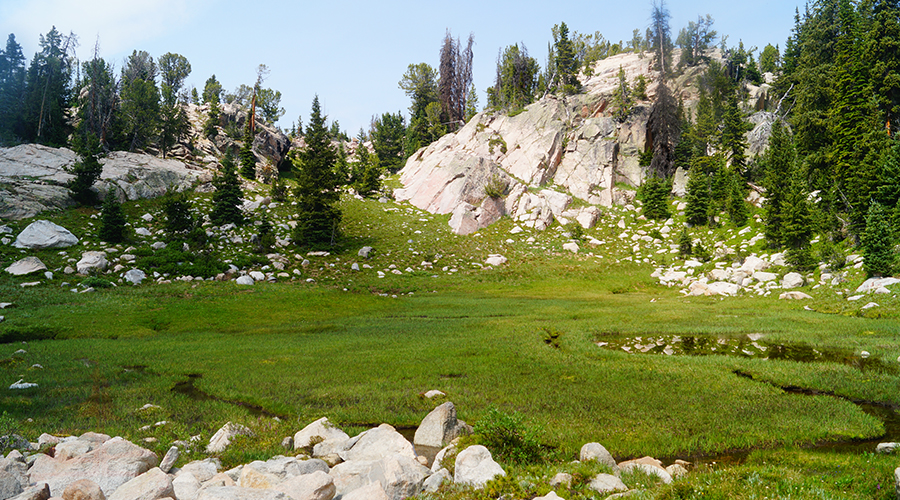 marsh among the granite on beartooth high lakes trail