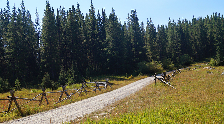 dirt road while camping near bozeman in hyalite canyon