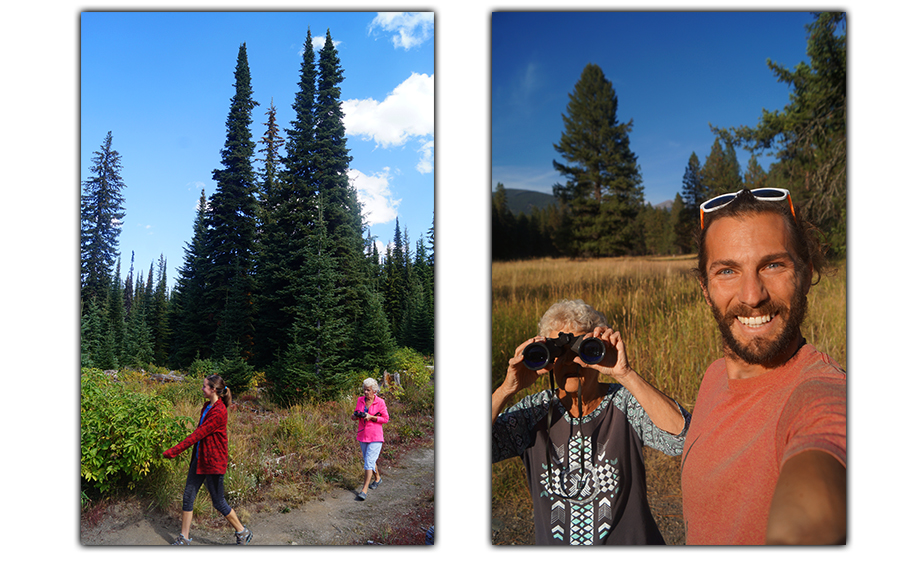 exploring the trail while camping near lolo