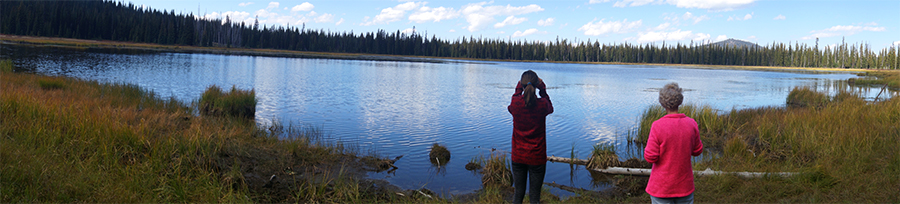 looking out over lily lake