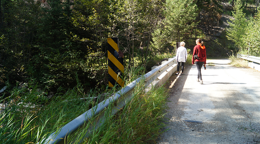 bridge over lolo creek