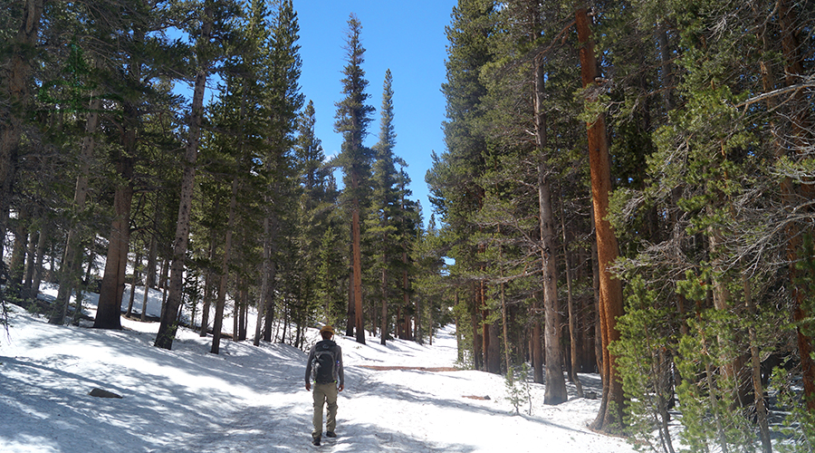 walking on the snowy closed road to get to the little lakes valley trailhead