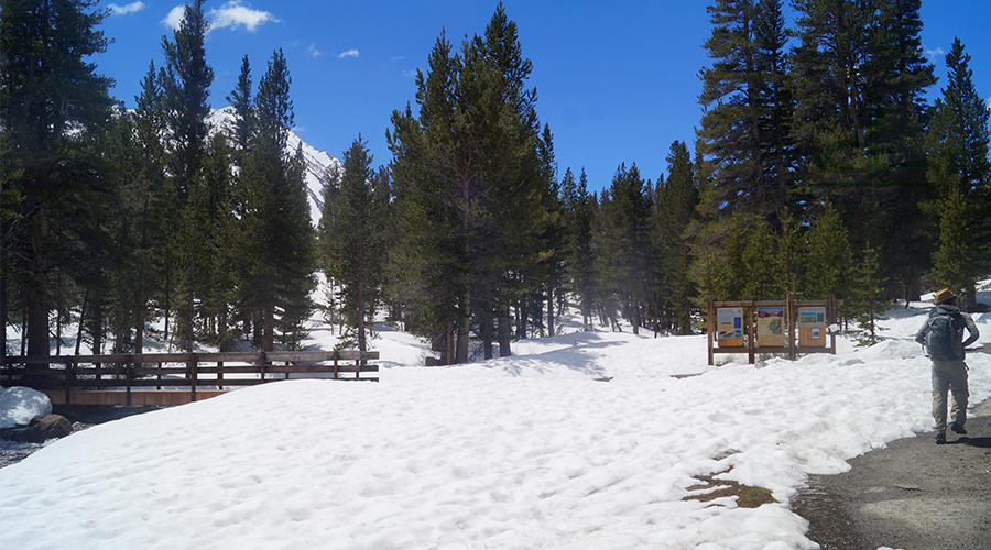 beginning of little lakes valley trail