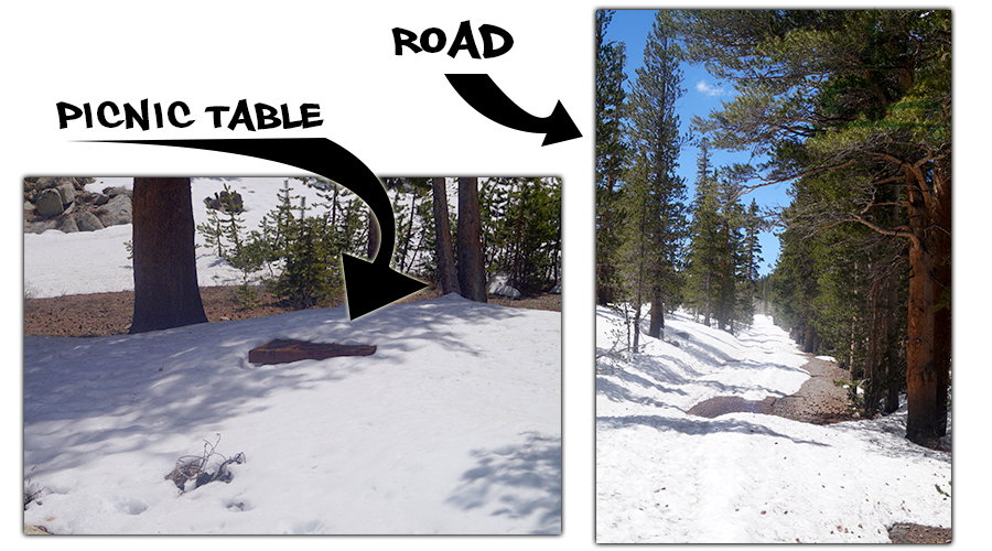 snow covering the road and picnic table