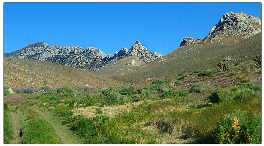 Portion of the road leading to Owens Peak