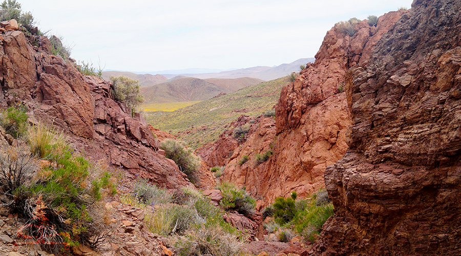 red mountain canyon walls