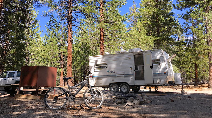 camping in the woods at hartley springs campground