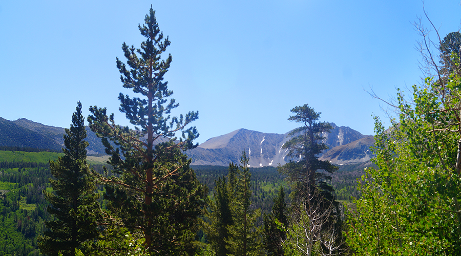 beautiful scenery from hilton lakes trail