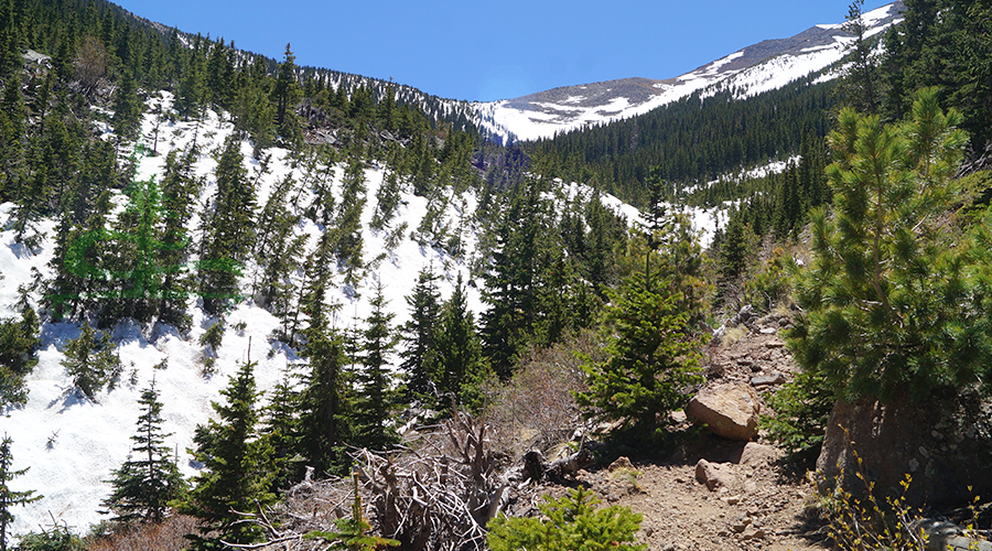 great views from the abineau and bear jaw loop hike