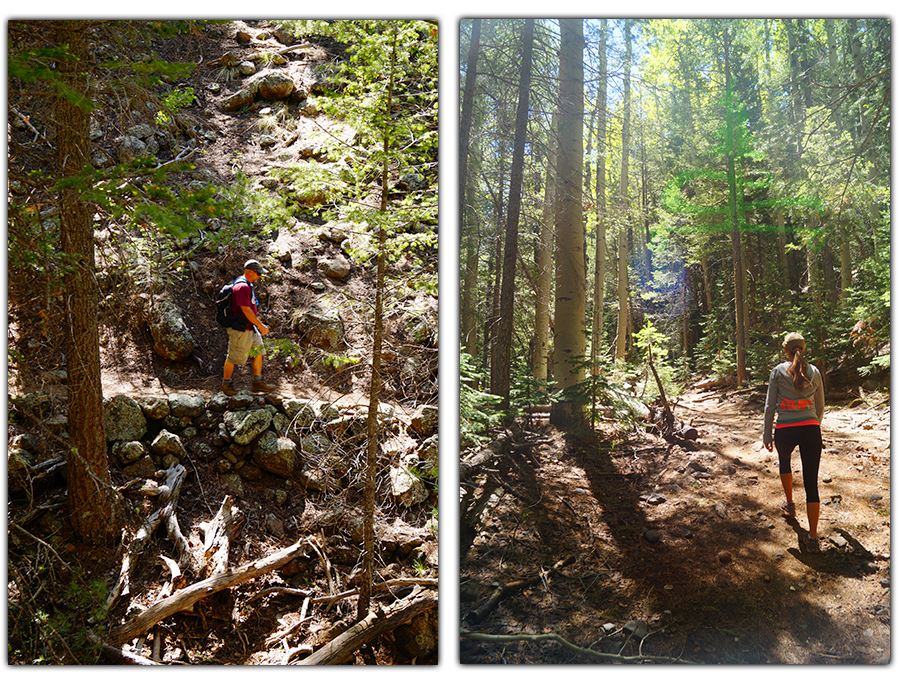 hiking the trail through the woods