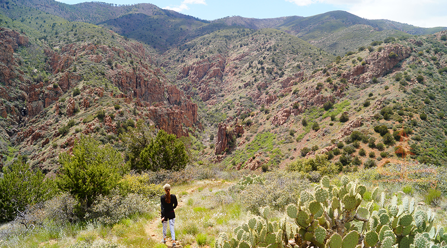 vast canyon view on black canyon trail