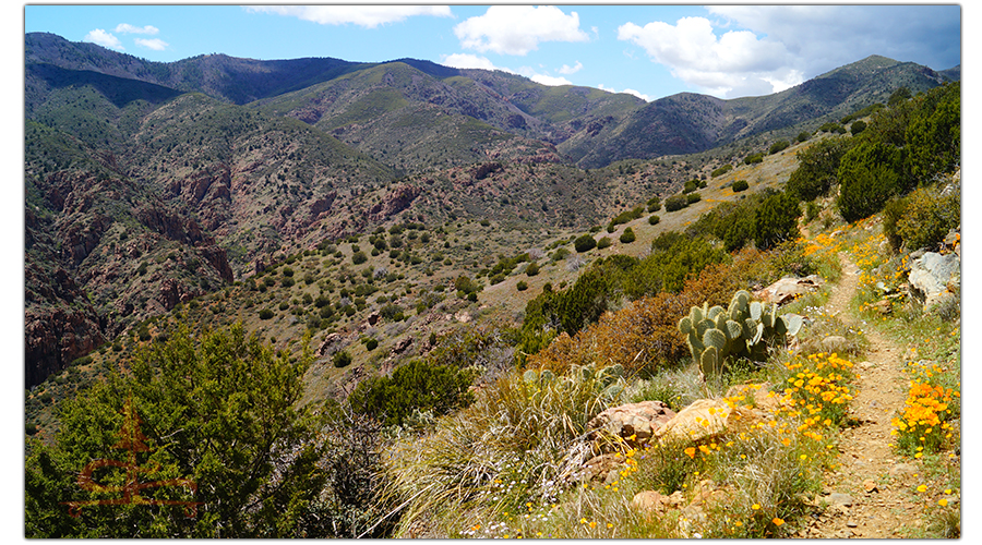 following the colorful trail towards the canyon