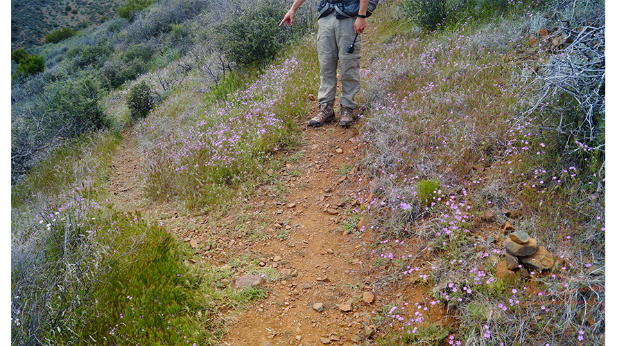 cairns on the right indicating the branching trail on the left