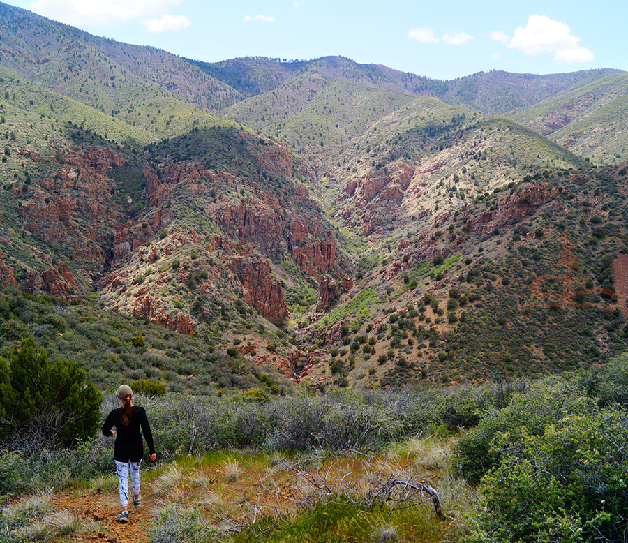 following black canyon trail down into the canyon