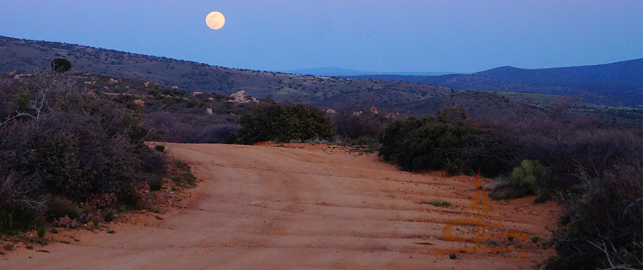 full moon and scenery overlooking the national forest