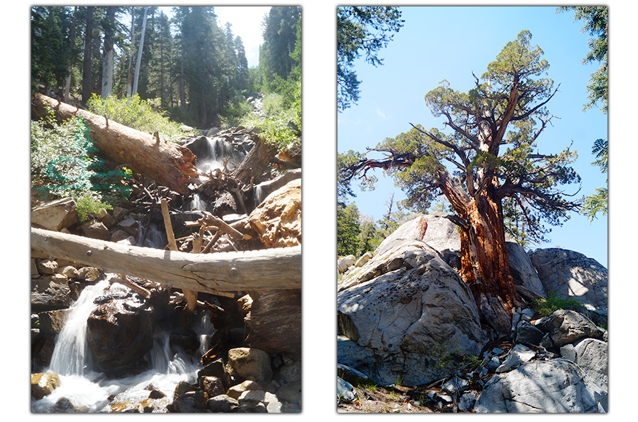 waterfall on yost trail 