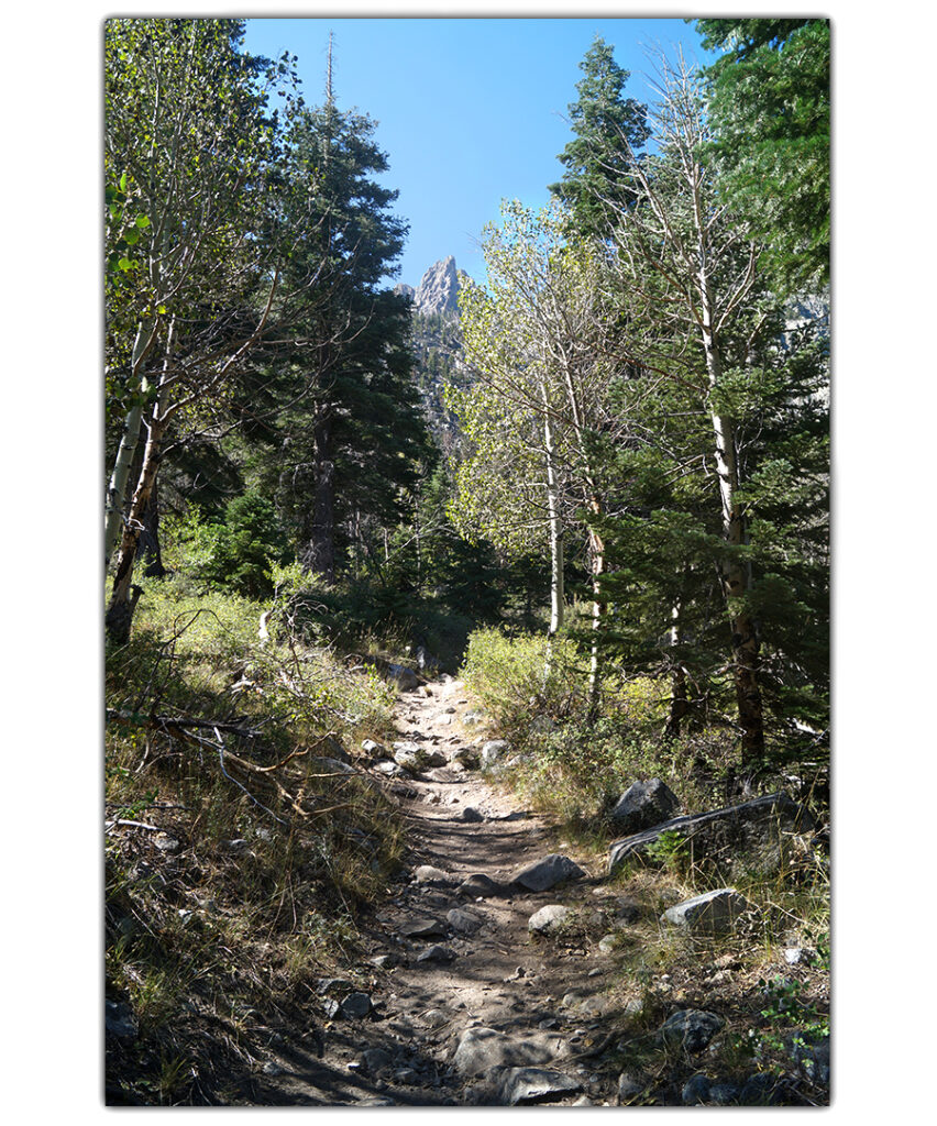 hiking to fern lake through the aspen