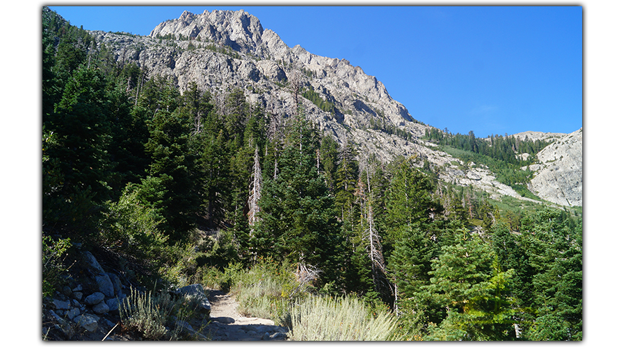 beautiful granite scenery from the trail
