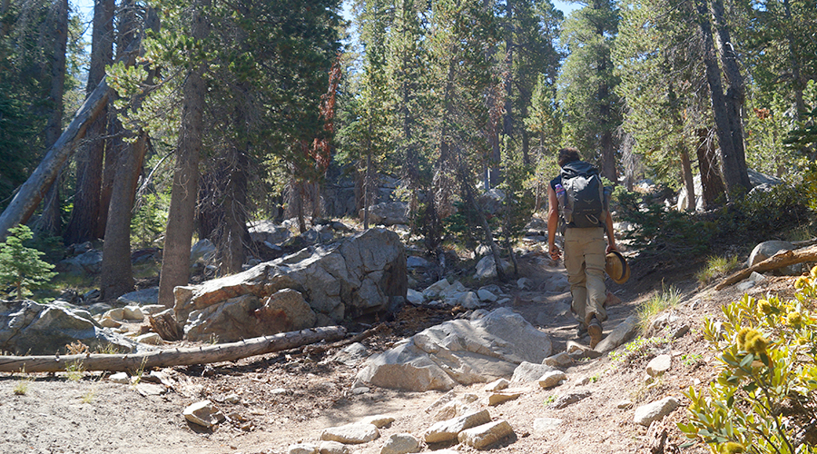 rocky trail hiking to fern lake