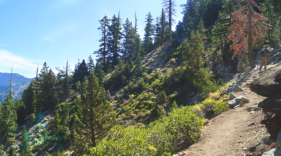 steep beautiful trail hiking to fern lake