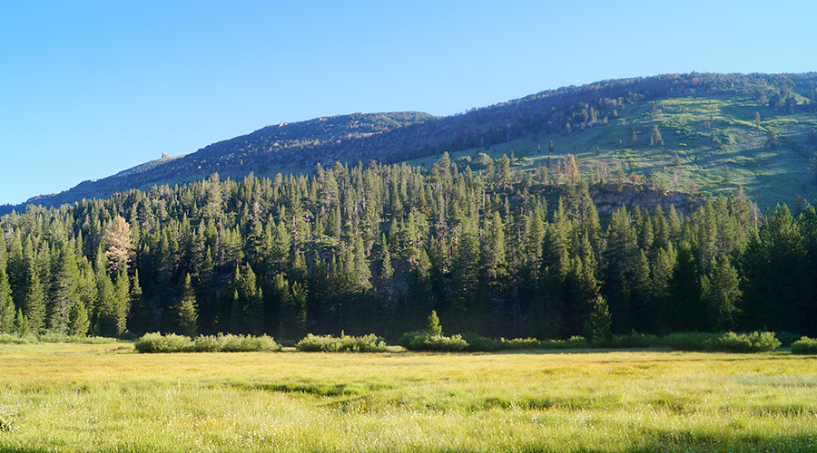 open clearing at the beginning of the trail