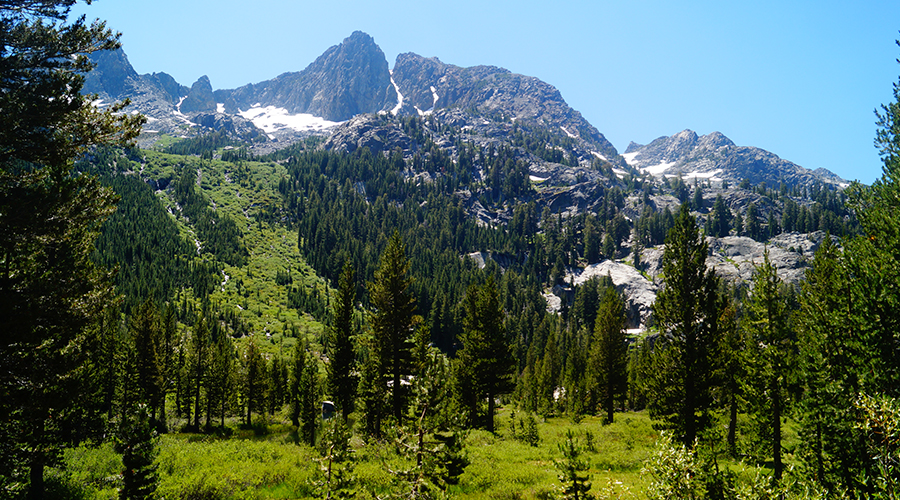 lush vegetation contrasting with the gorgeous towering granite