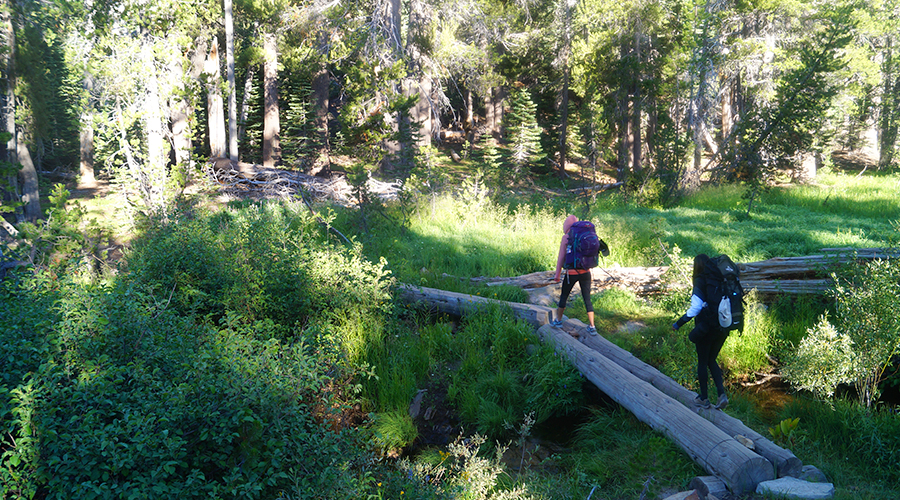 the beginning of the trail backpacking to ediza lake